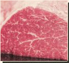 Kobefleisch von Exotic-Kitchen.de